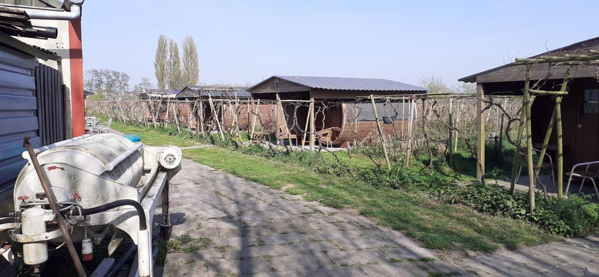 Wijndomein De Vier Ambachten -Overnachten In De Wijngaard Simonshaven Exterior foto